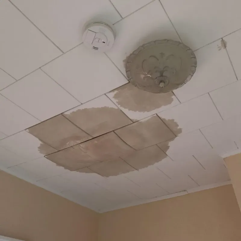Ceiling Water Damage Repair in Waxhaw, NC
