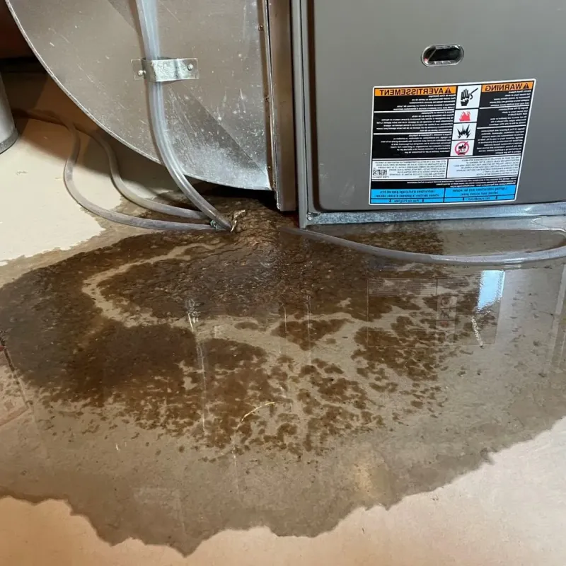 Pipe Burst and Leak Restoration in Waxhaw, NC